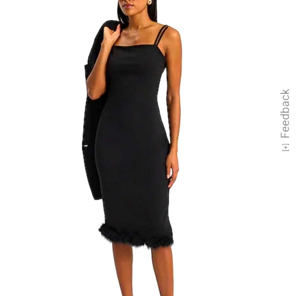 Elegant Black Dress with Feather Trim - Express LG